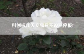 科创板几天交易日不设涨停板?