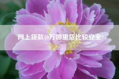 网上贷款10万哪里贷比较安全?