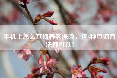 手机上怎么查询养老保险，这5种查询方法都可以！
