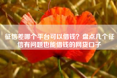 征信差哪个平台可以借钱？盘点几个征信有问题也能借钱的网贷口子