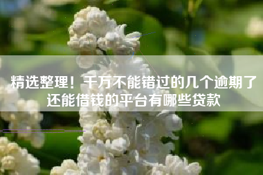 精选整理！千万不能错过的几个逾期了还能借钱的平台有哪些贷款