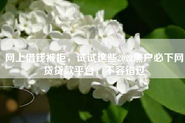 网上借钱被拒，试试这些2022黑户必下网贷贷款平台，不容错过