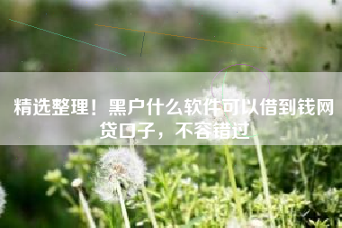精选整理！黑户什么软件可以借到钱网贷口子，不容错过