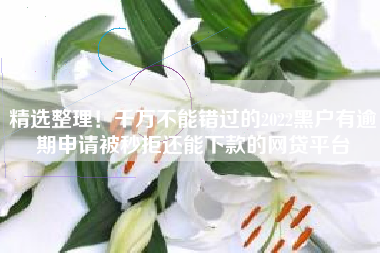 精选整理！千万不能错过的2022黑户有逾期申请被秒拒还能下款的网贷平台