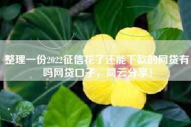整理一份2022征信花了还能下款的网贷有吗网贷口子，简云分享！