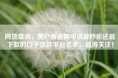 网贷盘点，黑户有逾期申请被秒拒还能下款的口子贷款平台名单，值得关注！