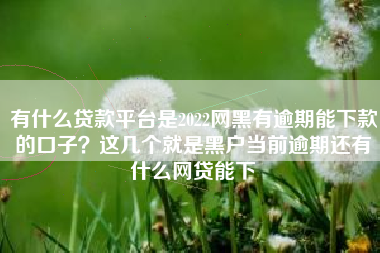 有什么贷款平台是2022网黑有逾期能下款的口子？这几个就是黑户当前逾期还有什么网贷能下