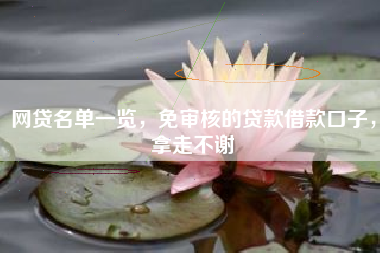 网贷名单一览，免审核的贷款借款口子，拿走不谢