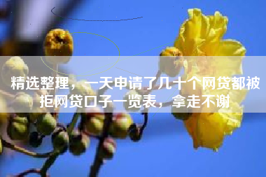 精选整理，一天申请了几十个网贷都被拒网贷口子一览表，拿走不谢