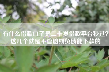 有什么借款口子是二十岁借款平台秒过？这几个就是不管逾期负债能下款的