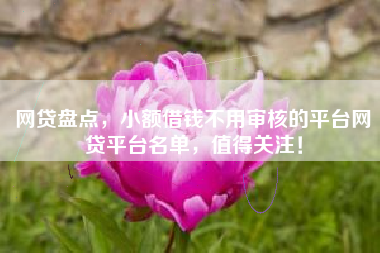 网贷盘点，小额借钱不用审核的平台网贷平台名单，值得关注！