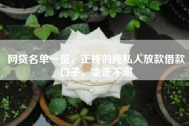 网贷名单一览，正规的纯私人放款借款口子，拿走不谢