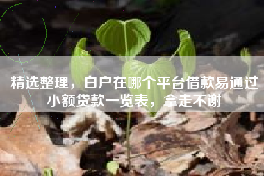 精选整理，白户在哪个平台借款易通过小额贷款一览表，拿走不谢