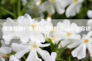 精选整理！免审核贷款网贷app，不容错过