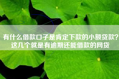 有什么借款口子是肯定下款的小额贷款？这几个就是有逾期还能借款的网贷