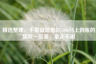 精选整理，不看征信借款5000马上到账的贷款一览表，拿走不谢