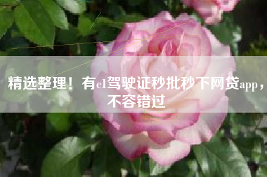 精选整理！有c1驾驶证秒批秒下网贷app，不容错过