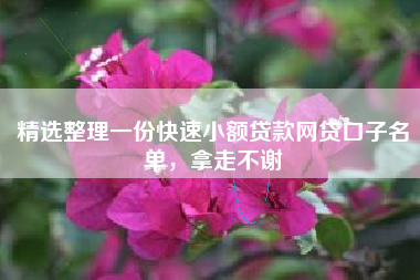 精选整理一份快速小额贷款网贷口子名单，拿走不谢