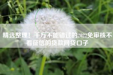 精选整理！千万不能错过的2022免审核不看征信的贷款网贷口子