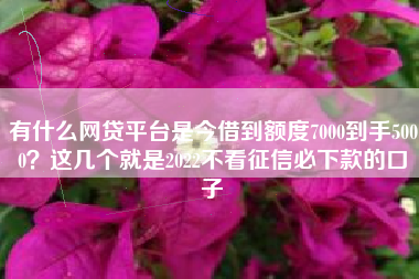 有什么网贷平台是今借到额度7000到手5000？这几个就是2022不看征信必下款的口子