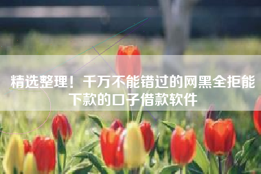 精选整理！千万不能错过的网黑全拒能下款的口子借款软件