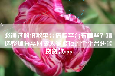 必通过的借款平台借款平台有哪些？精选整理分享网贷太多被拒哪个平台还能贷贷款app