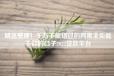 精选整理！千万不能错过的网黑全拒能下款的口子2022贷款平台
