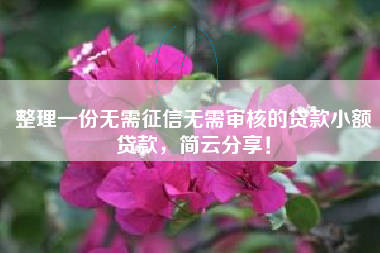 整理一份无需征信无需审核的贷款小额贷款，简云分享！