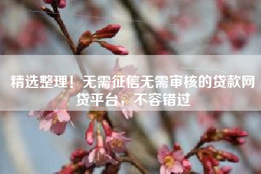 精选整理！无需征信无需审核的贷款网贷平台，不容错过
