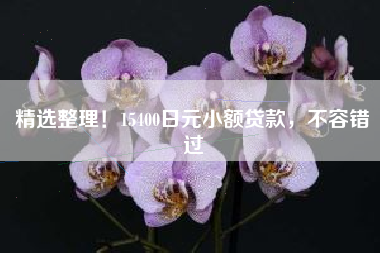 精选整理！15400日元小额贷款，不容错过