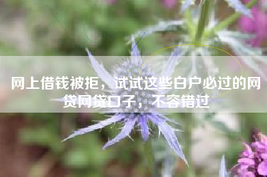 网上借钱被拒，试试这些白户必过的网贷网贷口子，不容错过