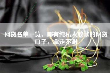 网贷名单一览，哪有纯私人放款的网贷口子，拿走不谢