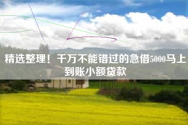 精选整理！千万不能错过的急借5000马上到账小额贷款