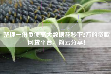 整理一份负债高大数据花秒下2万的贷款网贷平台，简云分享！