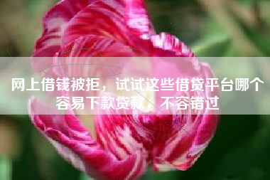 网上借钱被拒，试试这些借贷平台哪个容易下款贷款，不容错过