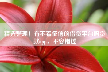 精选整理！有不看征信的借贷平台吗贷款app，不容错过