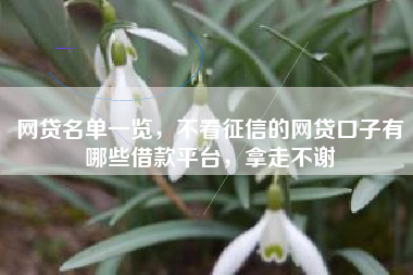 网贷名单一览，不看征信的网贷口子有哪些借款平台，拿走不谢