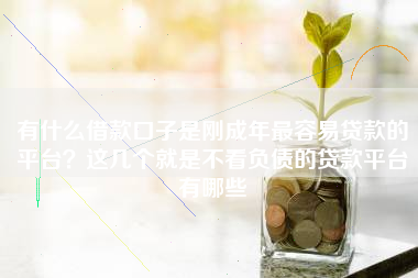 有什么借款口子是刚成年最容易贷款的平台？这几个就是不看负债的贷款平台有哪些