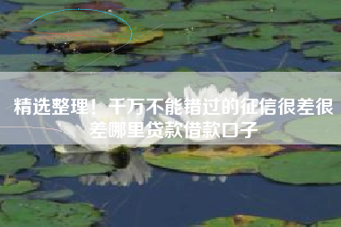 精选整理！千万不能错过的征信很差很差哪里贷款借款口子