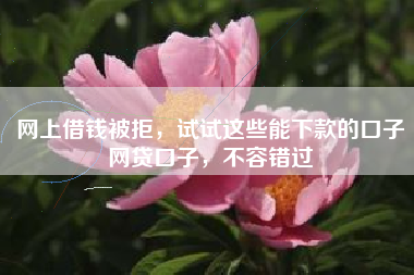 网上借钱被拒，试试这些能下款的口子网贷口子，不容错过