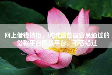 网上借钱被拒，试试这些最容易通过的借款平台网贷平台，不容错过