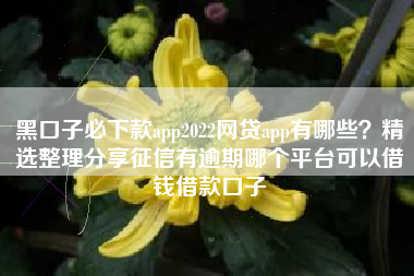 黑口子必下款app2022网贷app有哪些？精选整理分享征信有逾期哪个平台可以借钱借款口子