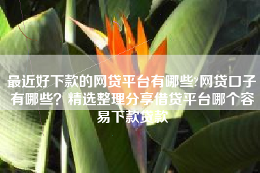 最近好下款的网贷平台有哪些?网贷口子有哪些？精选整理分享借贷平台哪个容易下款贷款
