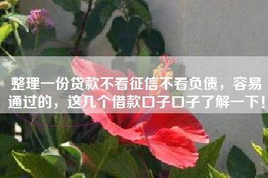 整理一份贷款不看征信不看负债，容易通过的，这几个借款口子口子了解一下！