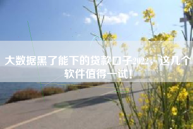 大数据黑了能下的贷款口子2022，这几个软件值得一试！