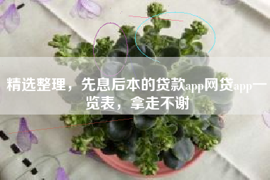 精选整理，先息后本的贷款app网贷app一览表，拿走不谢