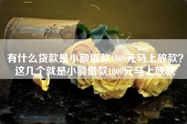 有什么贷款是小额借款1000元马上放款？这几个就是小额借款1000元马上放款