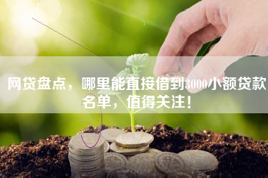 网贷盘点，哪里能直接借到3000小额贷款名单，值得关注！
