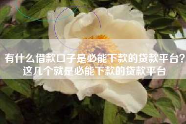 有什么借款口子是必能下款的贷款平台？这几个就是必能下款的贷款平台