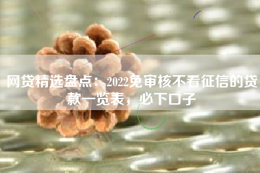 网贷精选盘点：2022免审核不看征信的贷款一览表，必下口子